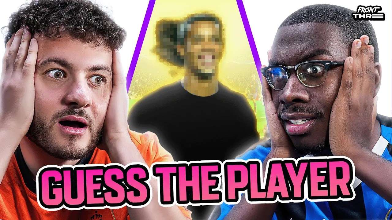 的稳健组织 的稳健组织