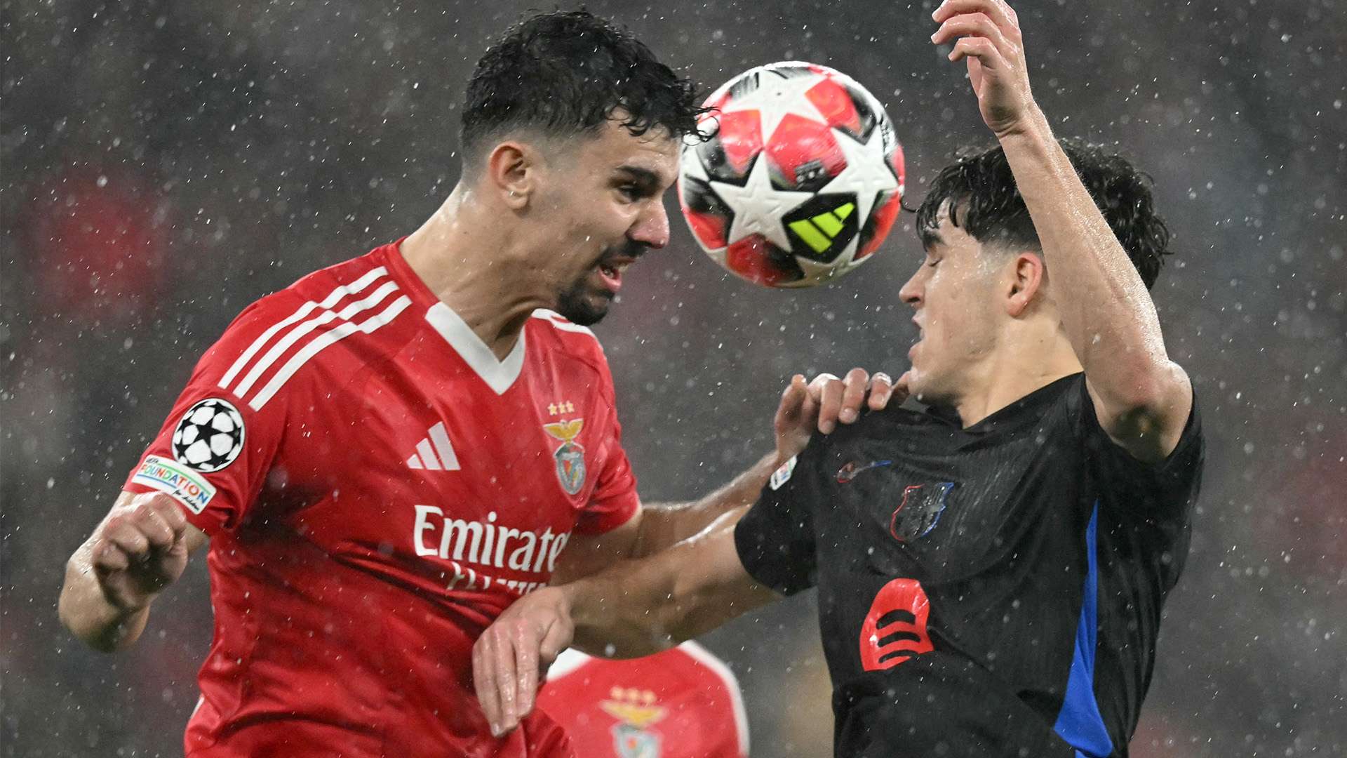 球员个人状 球员个人状