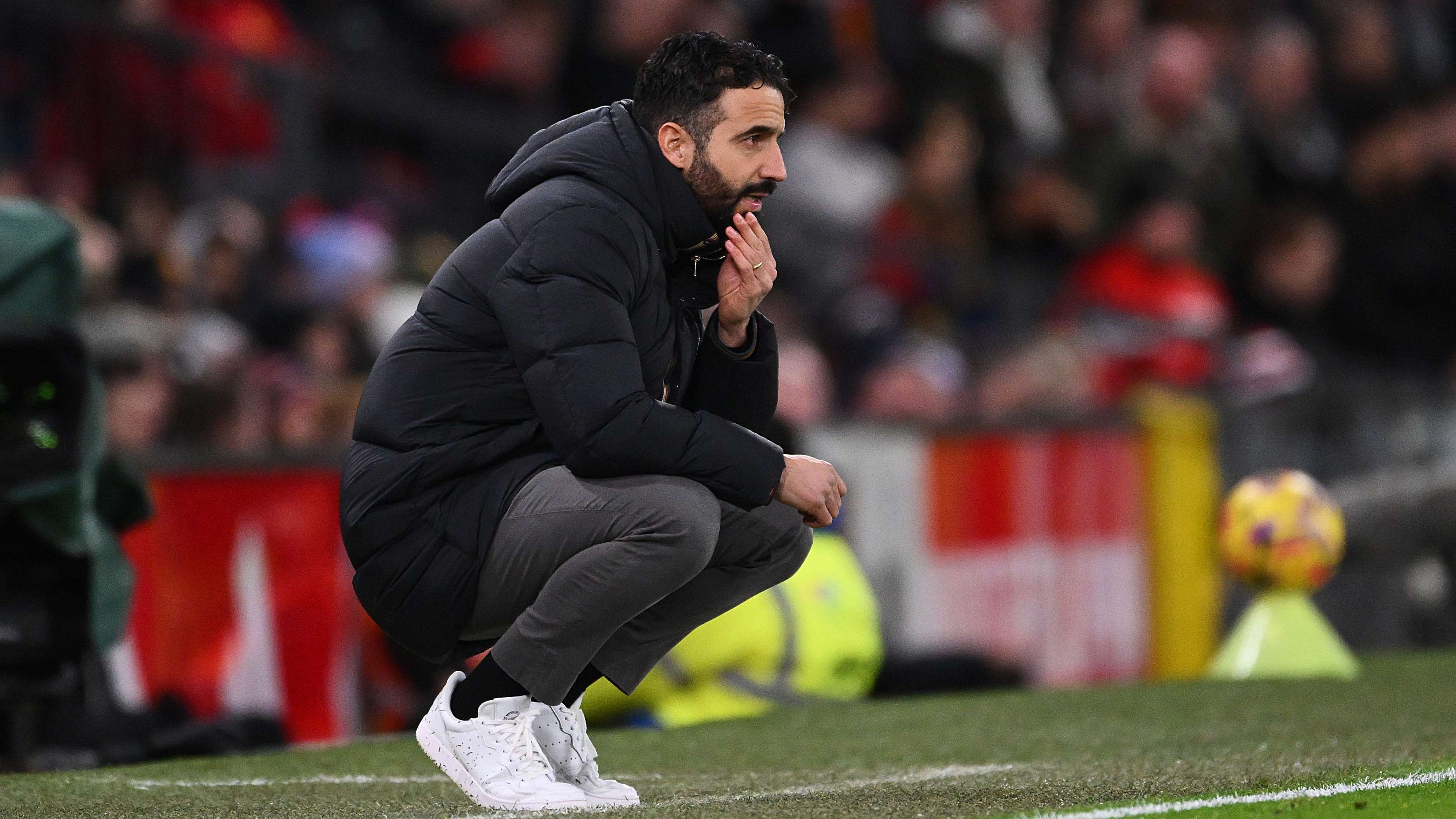 都显得更为 都显得更为