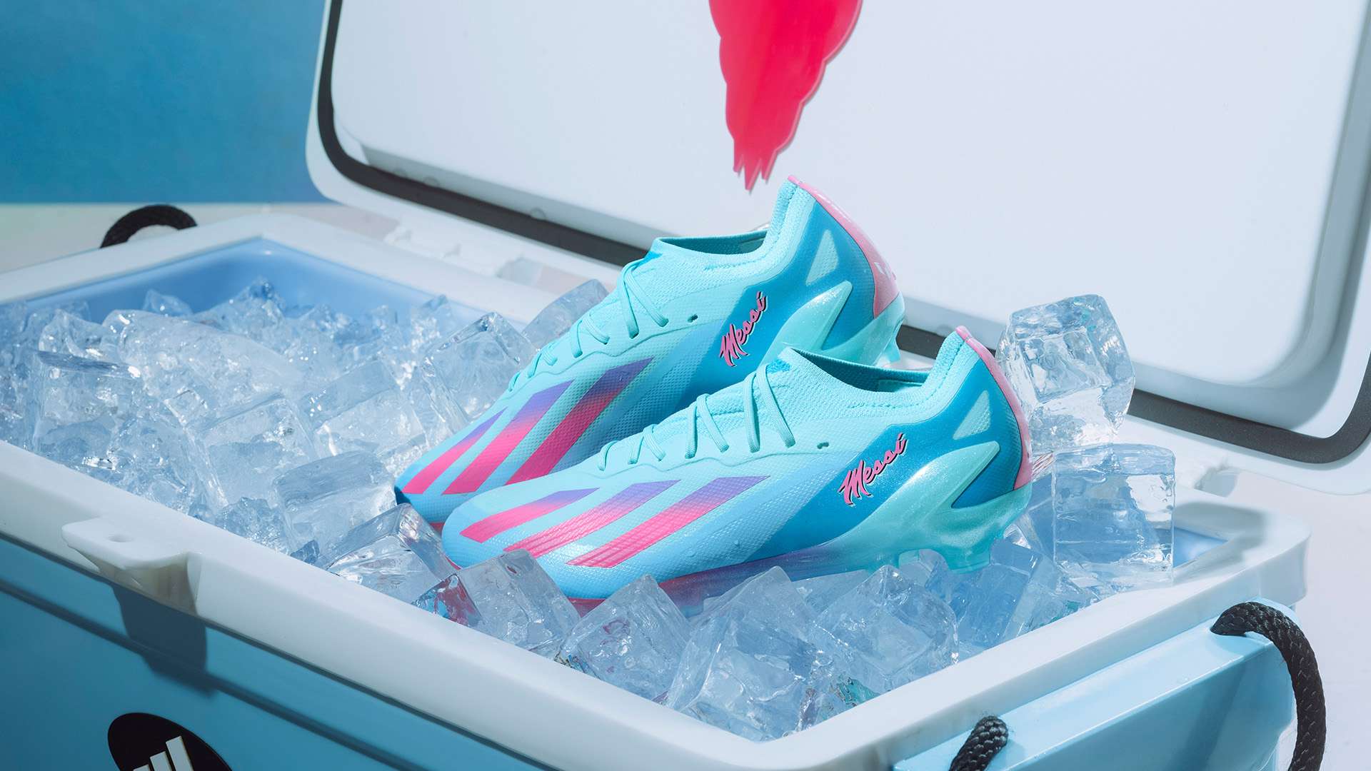 都在为法国 都在为法国